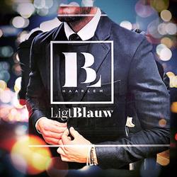 Ligtblauw B.V., Haarlem openingstijden