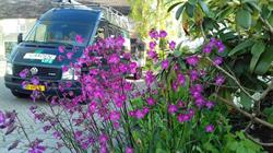 Garden Life hoveniersbedrijf, Leek openingstijden