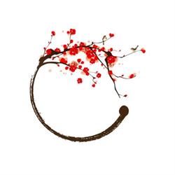 Zen Shiatsu Blaricum, openingstijden