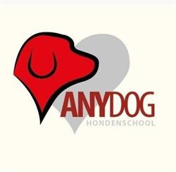 Hondenschool Anydog, Hegelsom openingstijden