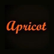 Restaurant Apricot, Assen openingstijden