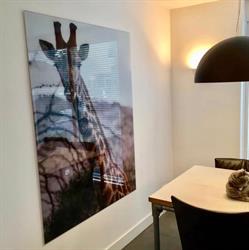 ModoFoto, De Moer openingstijden