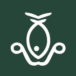 Flying Fish Foils, Amsterdam openingstijden