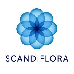 Scandiflora B.V., De Kwakel openingstijden