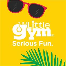 The Little Gym Haarlem, openingstijden