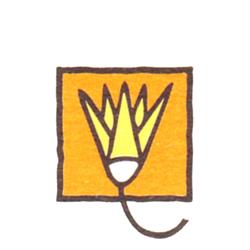 Galerie Novia, Doorn openingstijden
