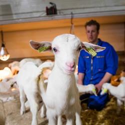 Geiten Melk Maasdriel, Velddriel openingstijden