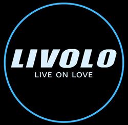 Livolo Nederland B.V., Hardinxveld-Giessendam openingstijden