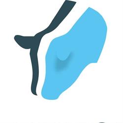 Dairytop BV- Specialist in Kalveropfok, Beilen openingstijden