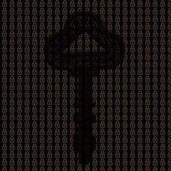 Escaperoom Meppel, openingstijden