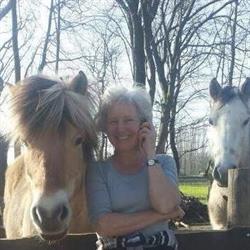 les2chevaux, Bemelen openingstijden