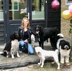 Hondentrimsalon Marije, Uitwellingerga openingstijden