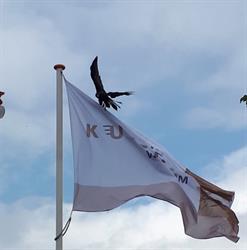 Kulturhus Wekerom, openingstijden