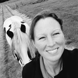Sylvia Baars Loopbaanbegeleiding, Coaching en Therapie Dordrecht, openingstijden