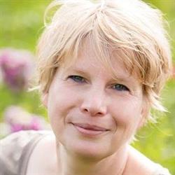 Vinca, Olst openingstijden