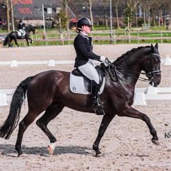 Karin Lengkeek- de Baat, Stalhouderij Lengkeek, Sommelsdijk openingstijden