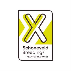 Schoneveld Breeding, Wilp openingstijden