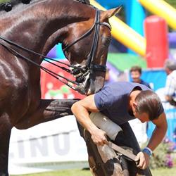 Hoefsmederij Pepijn Bakker, Oud-Beijerland openingstijden