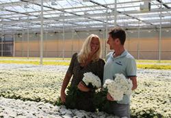 Zentoo - MG GRAND B.V., Monster openingstijden