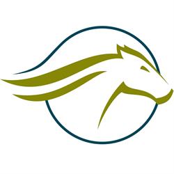 Equitrans B.V, Maasland openingstijden