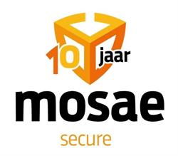 Mosae Secure, Maastricht openingstijden