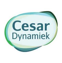 Cesar Dynamiek Vorden, openingstijden
