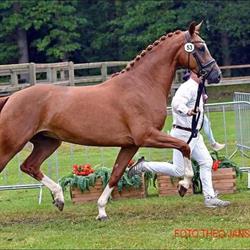 Landlust Horses, Zoelen openingstijden