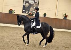 Angelique Vroom Dressage Experience, Dalfsen openingstijden