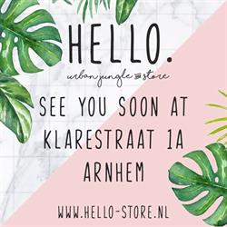 HELLO. urban jungle & store, Arnhem openingstijden