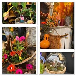 Bloeiland, Bedum openingstijden