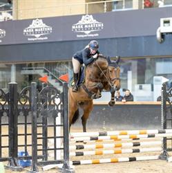 VDP Stables, Wouwse Plantage openingstijden