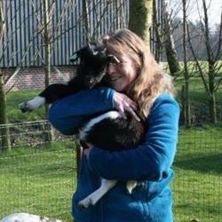 Living Outdoor, Elsendorp openingstijden