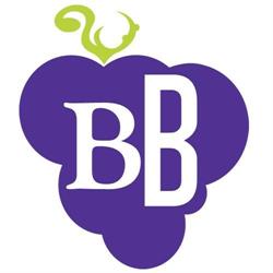 Bourgondisch Beetsterzwaag, openingstijden