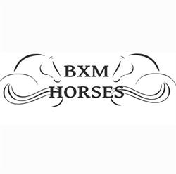BXM Horses, Gasteren openingstijden