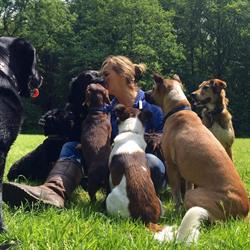 tail tales wassenaar, Wassenaar openingstijden