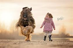 BellaVie PhotoArt, Lelystad openingstijden