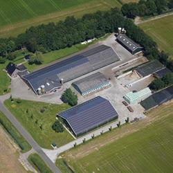 Nijeboer Dairy, Scharmer openingstijden