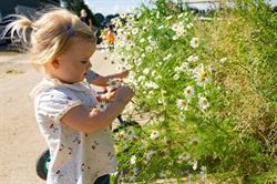 Agrarische Kinderopvang Boerkes &co, Haps openingstijden