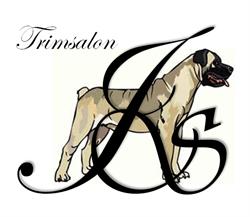 Trimsalon JS, Kropswolde openingstijden