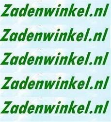 Zadenwinkel.nl, Vinkel openingstijden