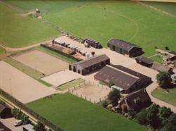 Paardenpension de Burghoeve, Odijk openingstijden