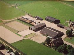 Paardenpension de Burghoeve, Odijk openingstijden
