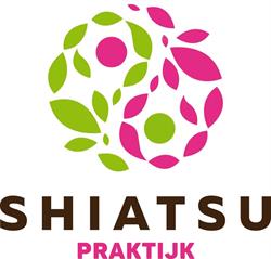 Shiatsu Praktijk Larysa Pawlicka, Marsum openingstijden
