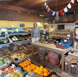 The Farm Shop, Moerkapelle openingstijden