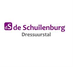 Sport en Handelsstal de Schuilenburg, Apeldoorn openingstijden