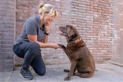 Dierfysiotherapie Mijn hond & ik, Dongen openingstijden