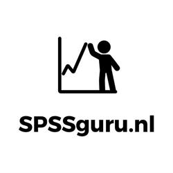 SPSS Guru, Amsterdam openingstijden