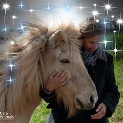 paard en kind, Vorden openingstijden