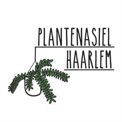 Plantenasiel Haarlem, openingstijden