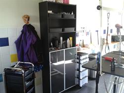 Hondentrimsalon DogstylingBuitenhof, Bad Nieuweschans openingstijden